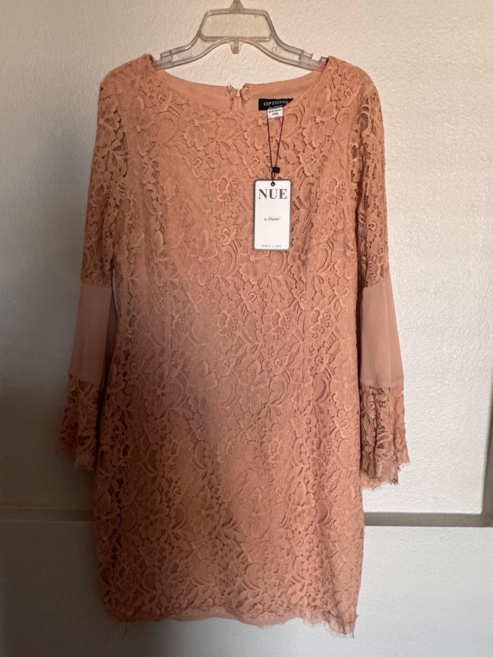 Nue by Shani Dusty Rose Lace Shift Mini Dress